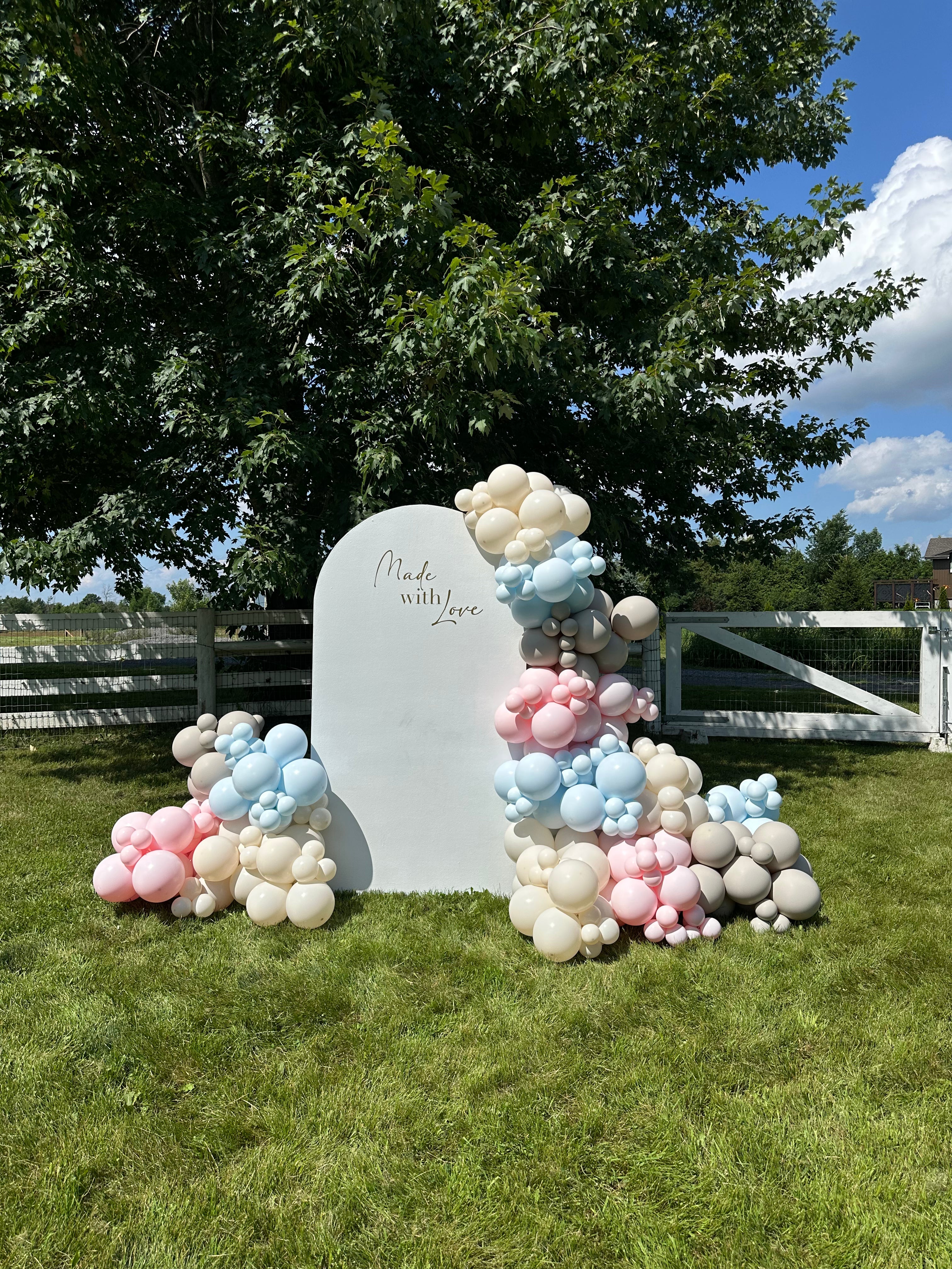 BACKDROP & BALLOON INSTALLATION